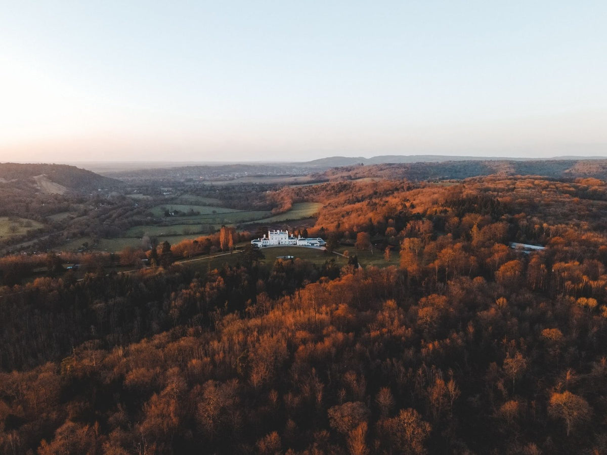 Drone photography tips: Autumn colours