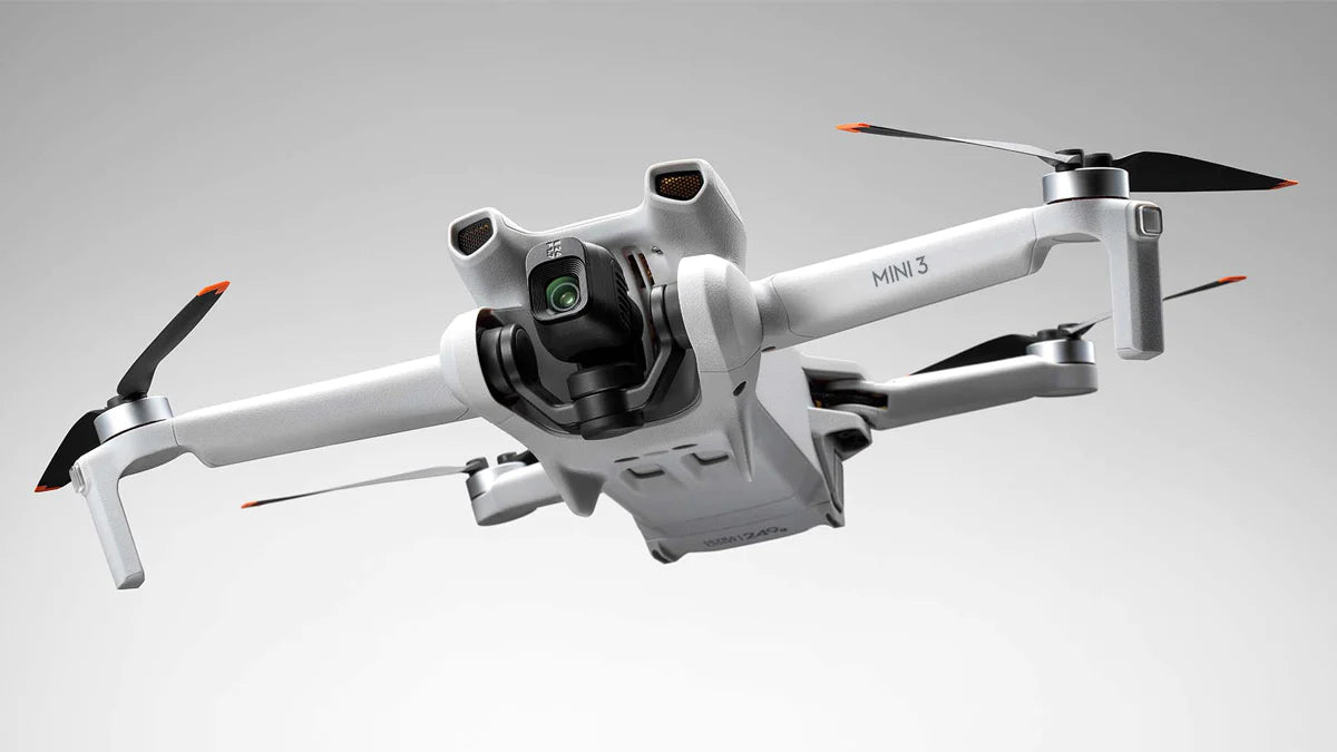DJI's Mini 3 drone is cheaper, but more limited than the Pro model